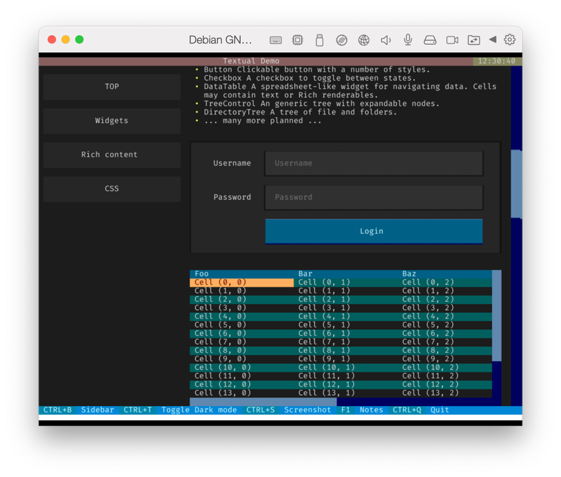 `python -m demo` running with fbpad on a Debian VM